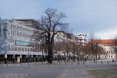 Stadtrundgang mit Fliejentuten-Heinrich