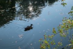 ente_2314_web