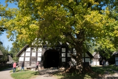 freilichtmuseum_2202_web