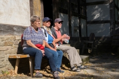 freilichtmuseum_2206_web