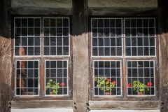 freilichtmuseum_2212_web