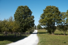 freilichtmuseum_2258_web