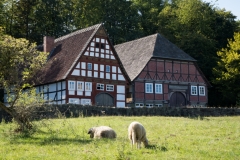 freilichtmuseum_2265_web