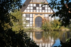 freilichtmuseum_2268_web
