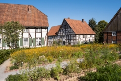 freilichtmuseum_2279_web