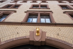 Nepaltreff Mainz (Astrid)