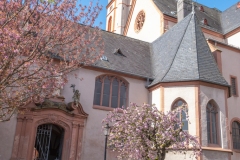 Nepaltreff Mainz (Astrid)
