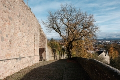 Fulda 2024