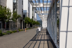 dessau_20250531_R9848_web_web