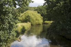 Paddeltour auf der Örtze