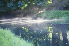 Schlosspark