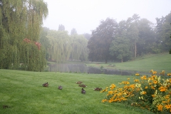 Schlosspark