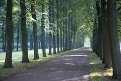Französischer Garten