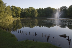 Französischer Garten