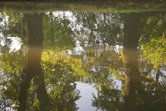 Französischer Garten