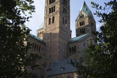 Dom