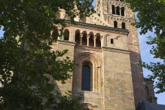 Dom
