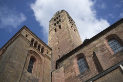 Dom