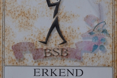 02_bruegge_7140