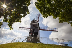 Ausflug nach Damme
