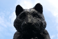 19_DSCF2028