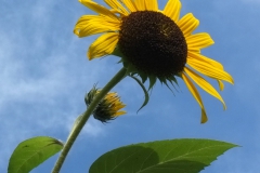 20_DSCF2031