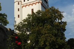 61_DSCF2151