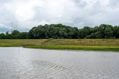 prinzheinrich-20260718_A8469_web-Kopie