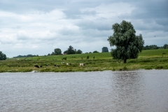 prinzheinrich-20260718_A8497_web